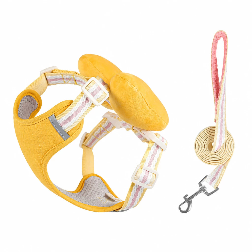 Bow Vest Harness and Leash for Small Dogs