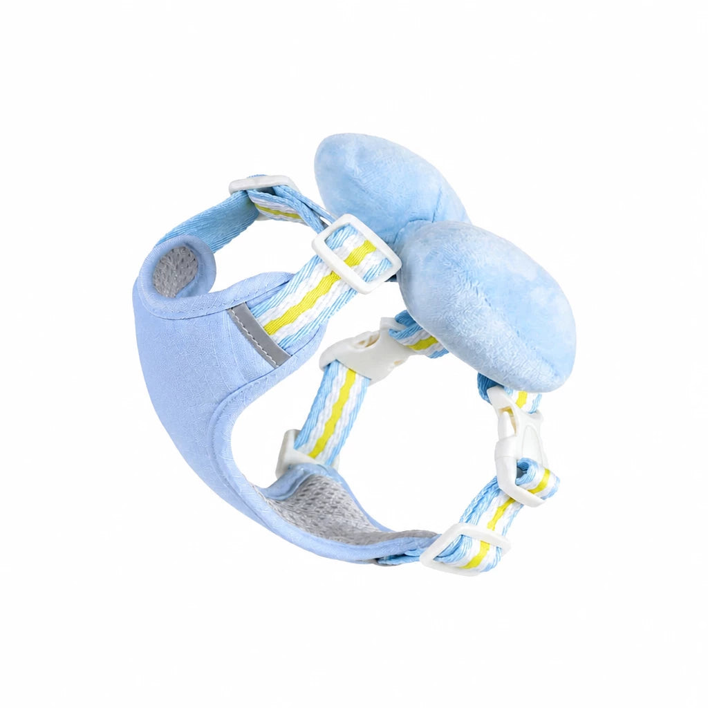 Bow Vest Harness and Leash for Small Dogs