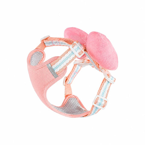 Bow Vest Harness and Leash for Small Dogs