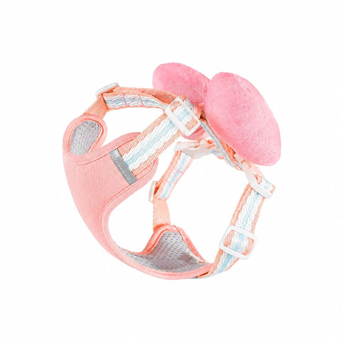 Bow Vest Harness and Leash for Small Dogs