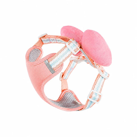Bow Vest Harness and Leash for Small Dogs