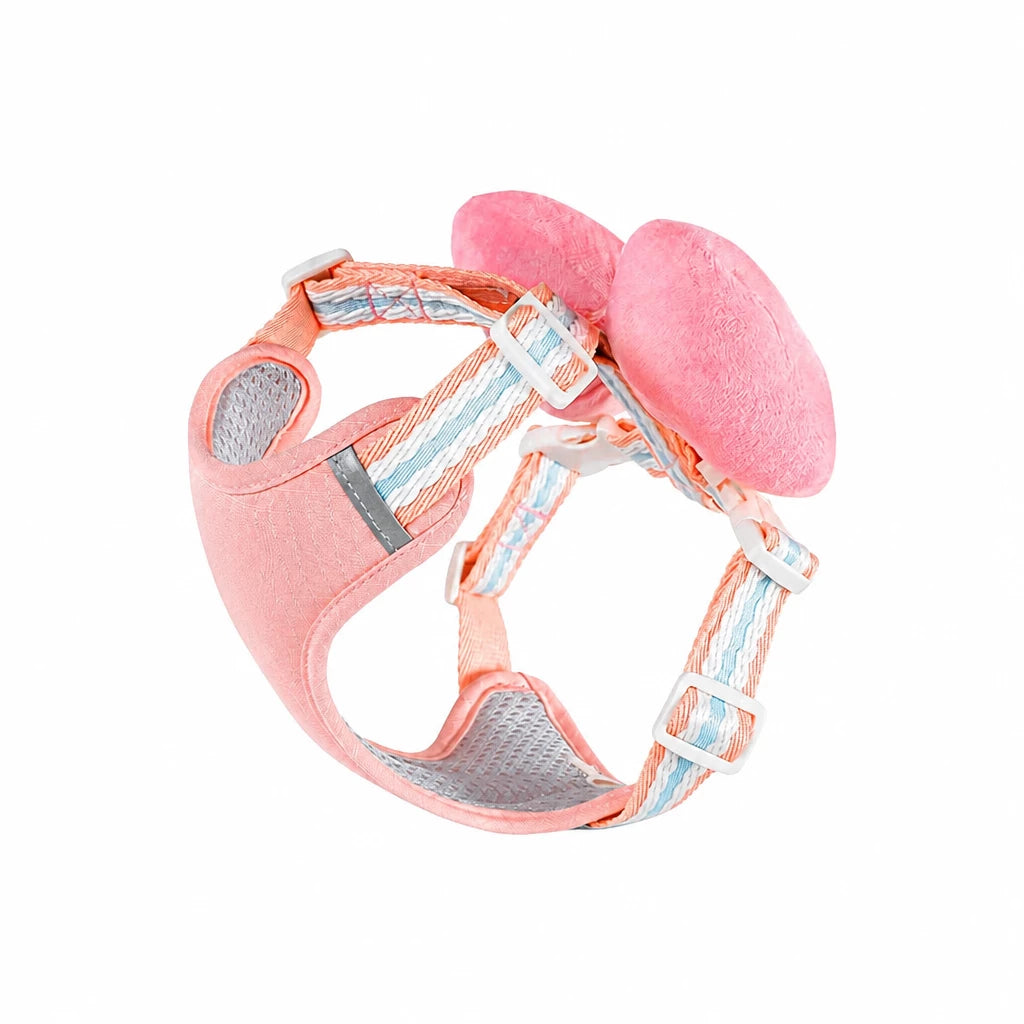 Bow Vest Harness and Leash for Small Dogs