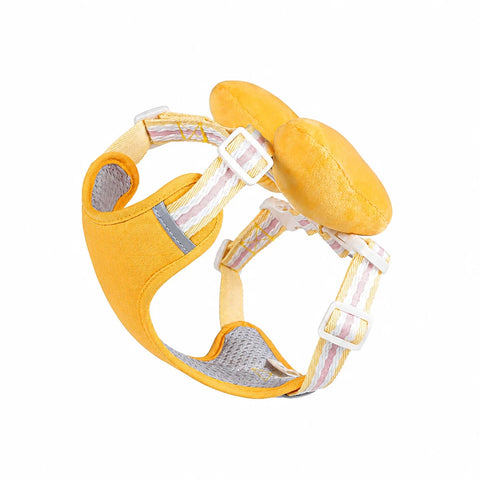 Bow Vest Harness and Leash for Small Dogs