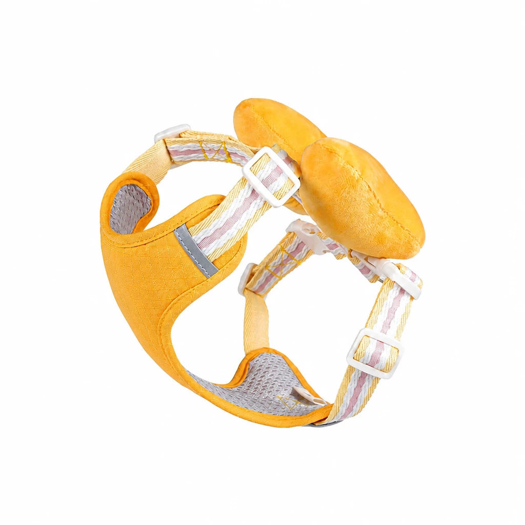 Bow Vest Harness and Leash for Small Dogs