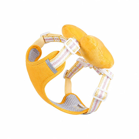 Bow Vest Harness and Leash for Small Dogs