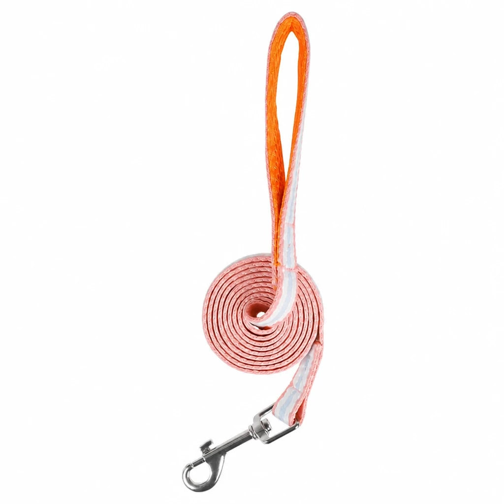 Bow Vest Harness and Leash for Small Dogs
