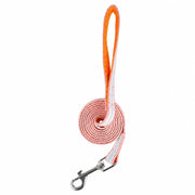 Bow Vest Harness and Leash for Small Dogs