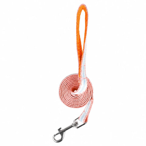 Bow Vest Harness and Leash for Small Dogs