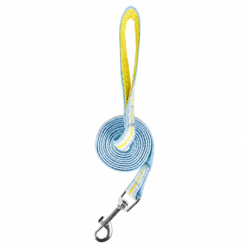 Bow Vest Harness and Leash for Small Dogs