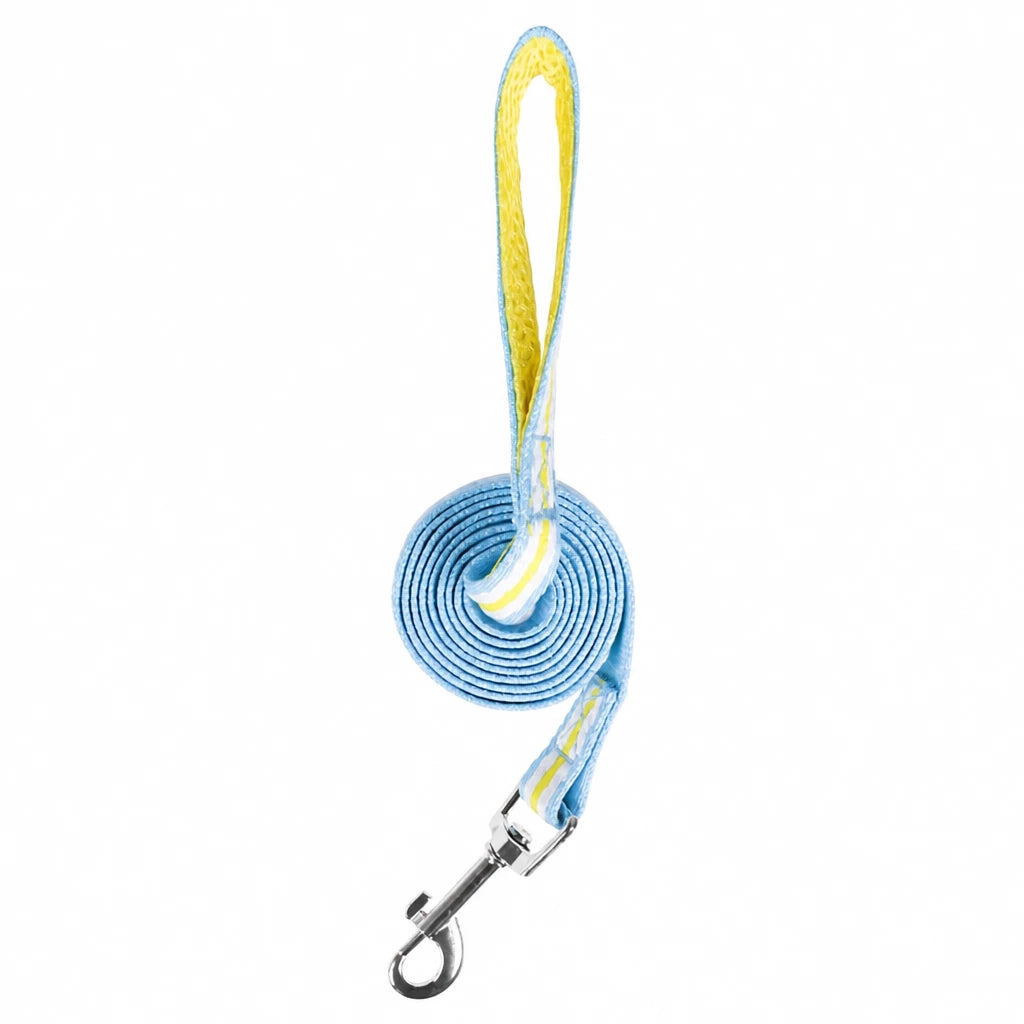 Bow Vest Harness and Leash for Small Dogs