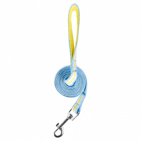 Bow Vest Harness and Leash for Small Dogs