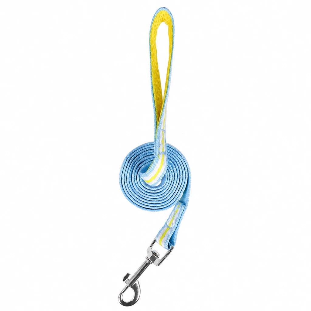 Bow Vest Harness and Leash for Small Dogs