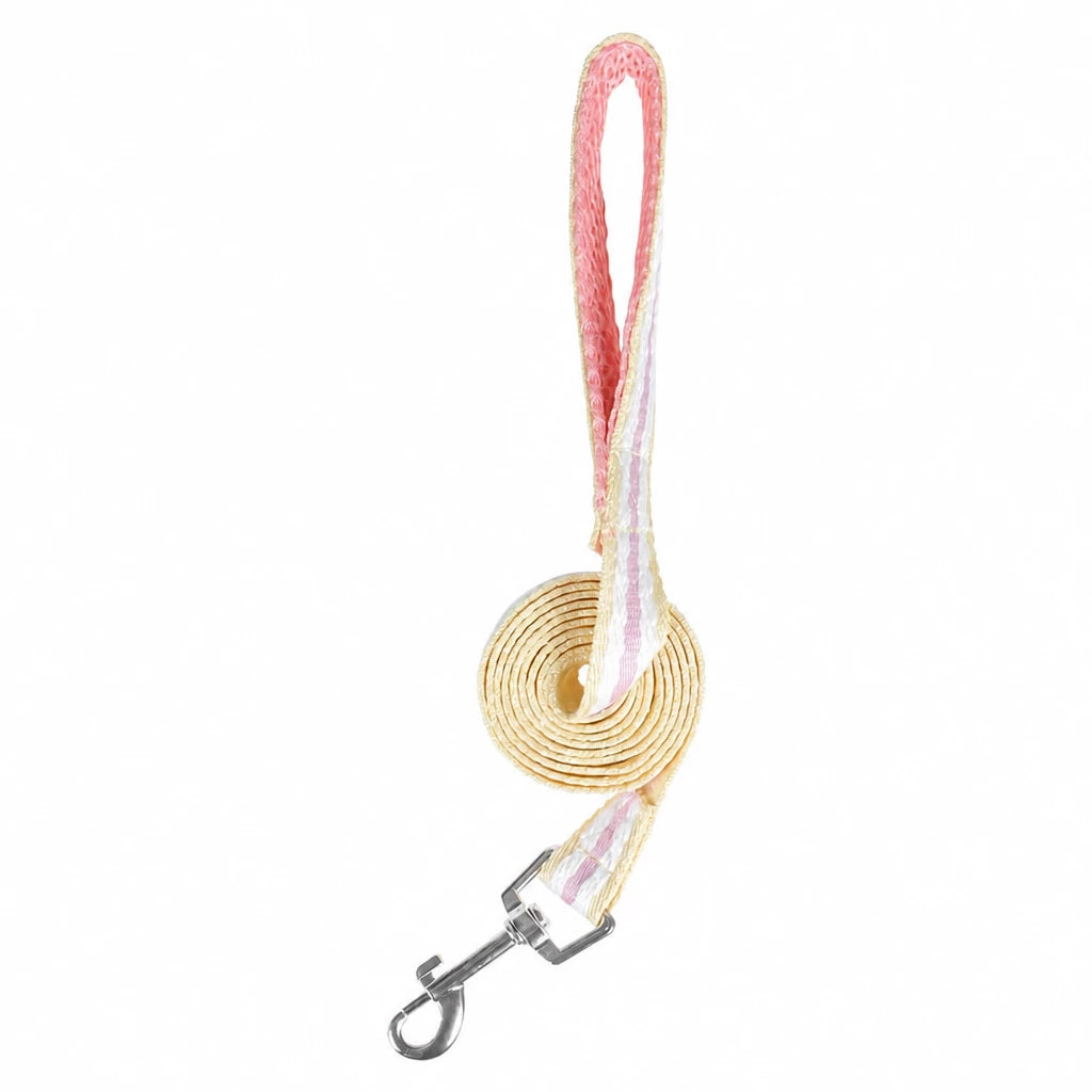 Bow Vest Harness and Leash for Small Dogs