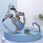 Vest-Style Dog Harness & Leash Set for Small to Medium Dogs