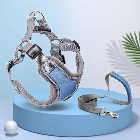 Vest-Style Dog Harness & Leash Set for Small to Medium Dogs
