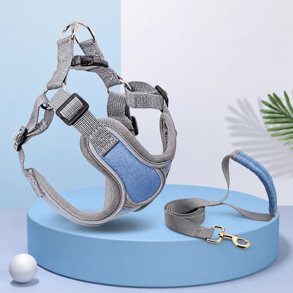 Vest-Style Dog Harness & Leash Set for Small to Medium Dogs