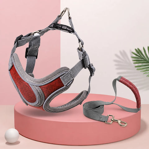 Vest-Style Dog Harness & Leash Set for Small to Medium Dogs