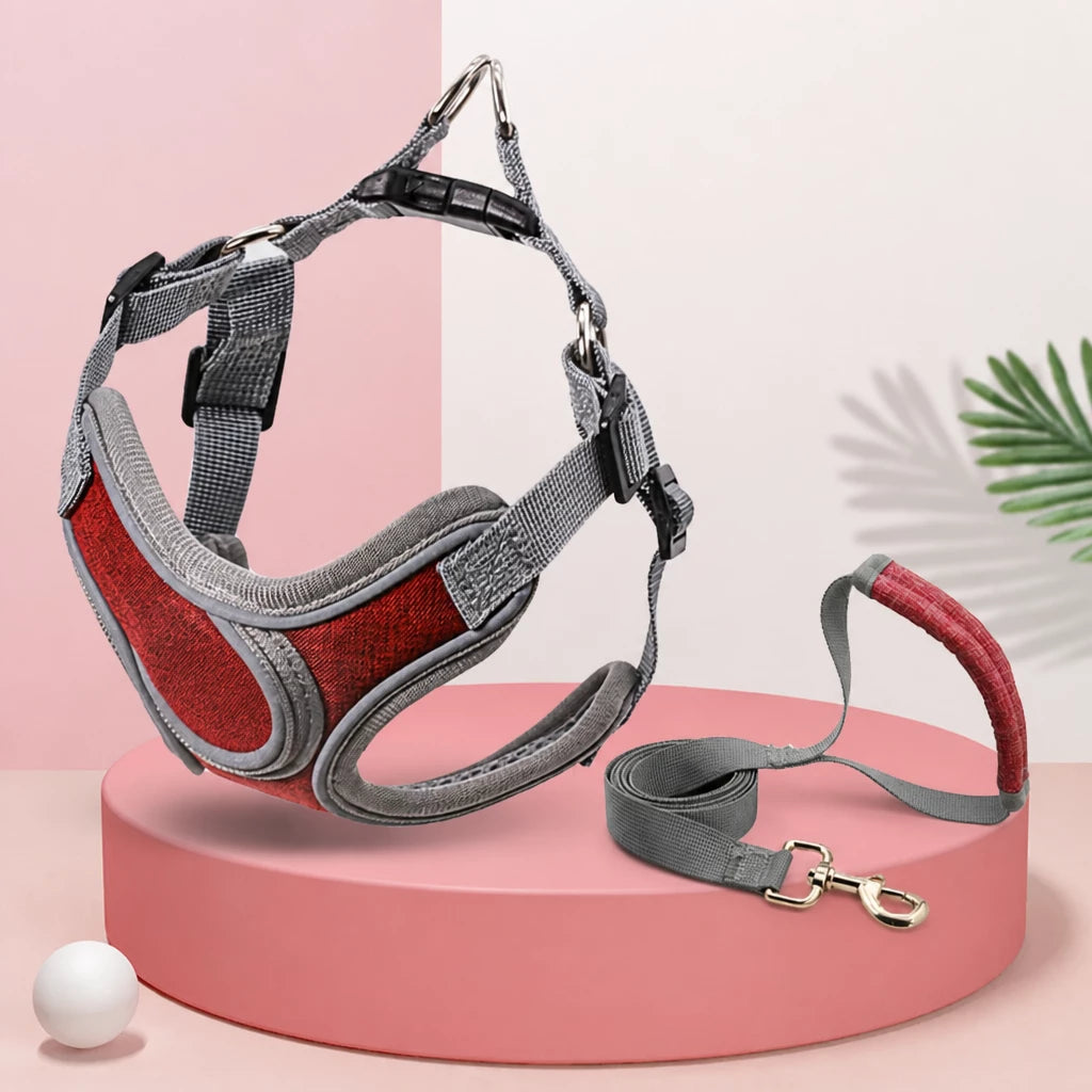 Vest-Style Dog Harness & Leash Set for Small to Medium Dogs