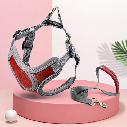 Vest-Style Dog Harness & Leash Set for Small to Medium Dogs