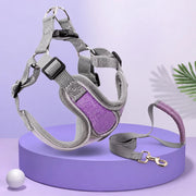 Vest-Style Dog Harness & Leash Set for Small to Medium Dogs