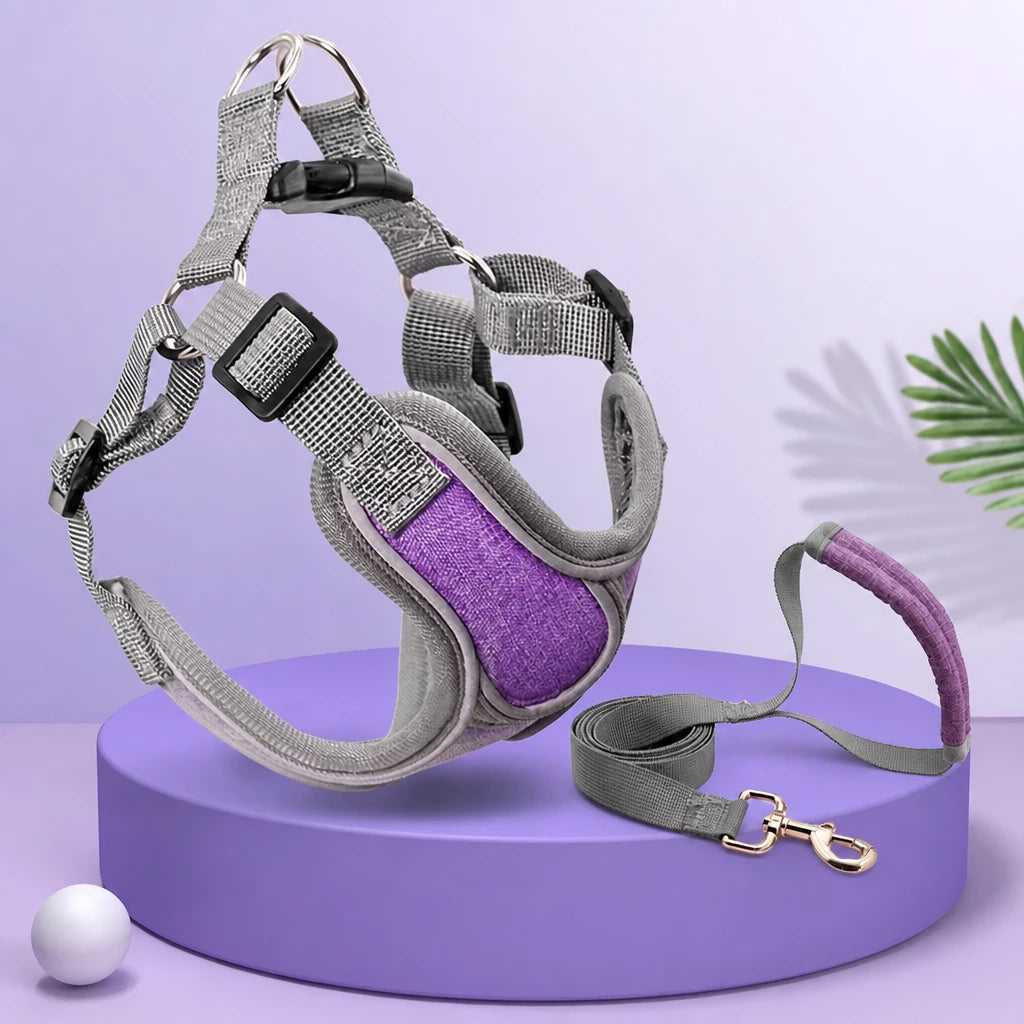 Vest-Style Dog Harness & Leash Set for Small to Medium Dogs