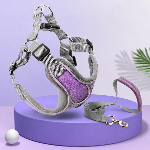 Vest-Style Dog Harness & Leash Set for Small to Medium Dogs