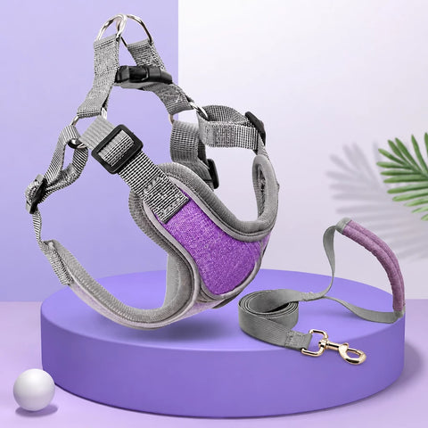 Vest-Style Dog Harness & Leash Set for Small to Medium Dogs