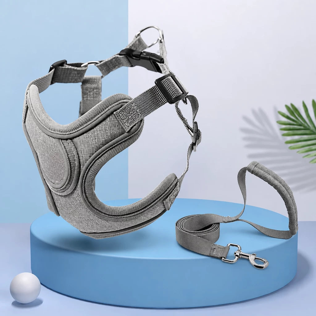 Vest-Style Dog Harness & Leash Set for Small to Medium Dogs