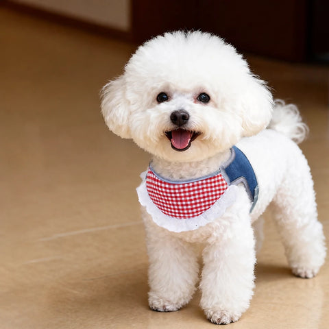 Nylon Vest-Style Dog Harness
