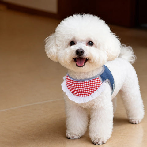 Nylon Vest-Style Dog Harness