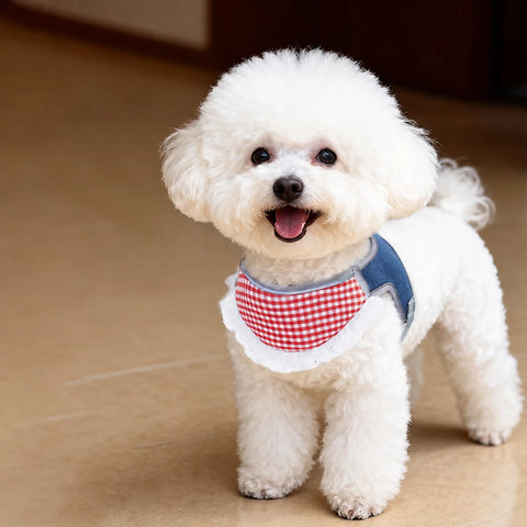 Nylon Vest-Style Dog Harness