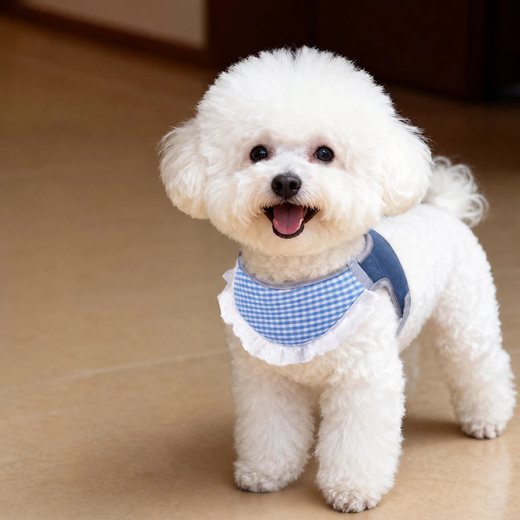 Nylon Vest-Style Dog Harness