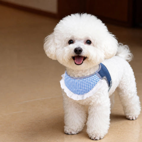 Nylon Vest-Style Dog Harness