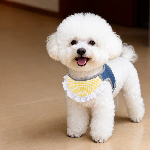 Nylon Vest-Style Dog Harness