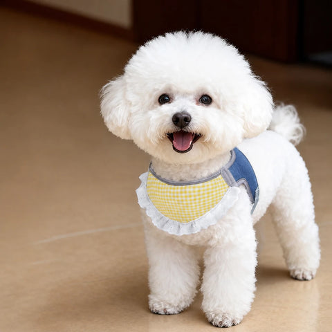 Nylon Vest-Style Dog Harness