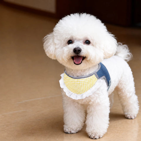 Nylon Vest-Style Dog Harness