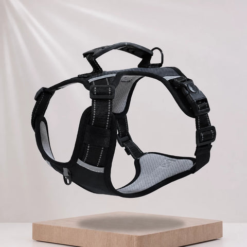 Nylon Dog Harness with Optional Leash