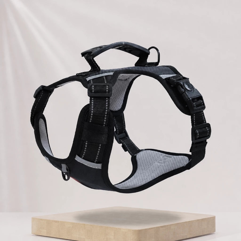 Nylon Dog Harness with Optional Leash