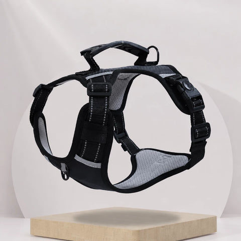 Nylon Dog Harness with Optional Leash