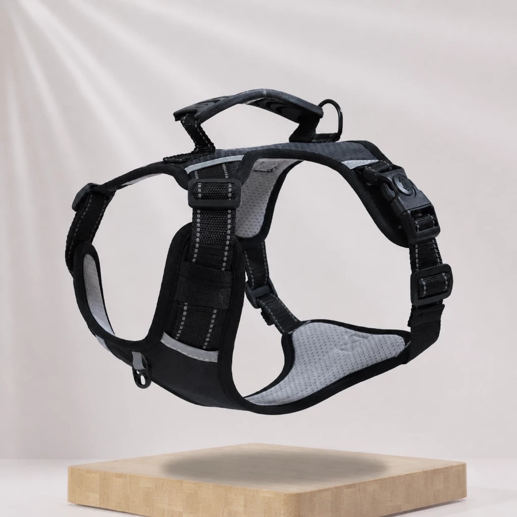 Nylon Dog Harness with Optional Leash