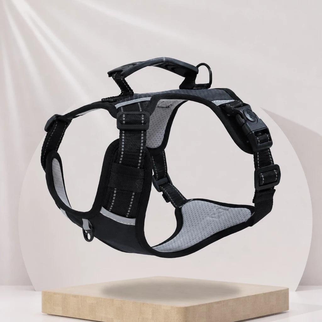 Nylon Dog Harness with Optional Leash