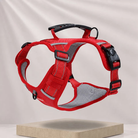 Nylon Dog Harness with Optional Leash