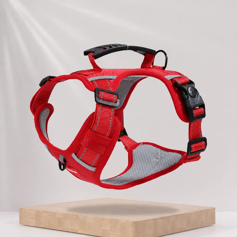 Nylon Dog Harness with Optional Leash