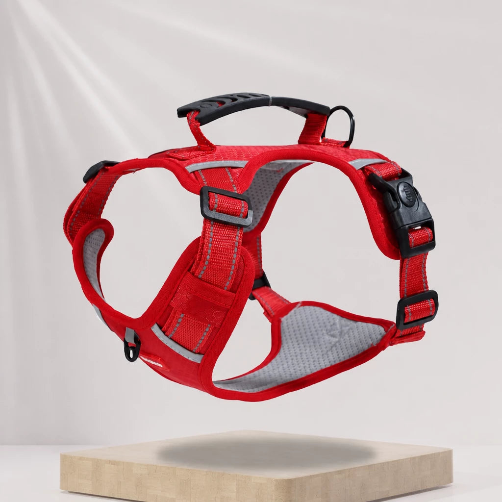 Nylon Dog Harness with Optional Leash