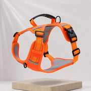 Nylon Dog Harness with Optional Leash