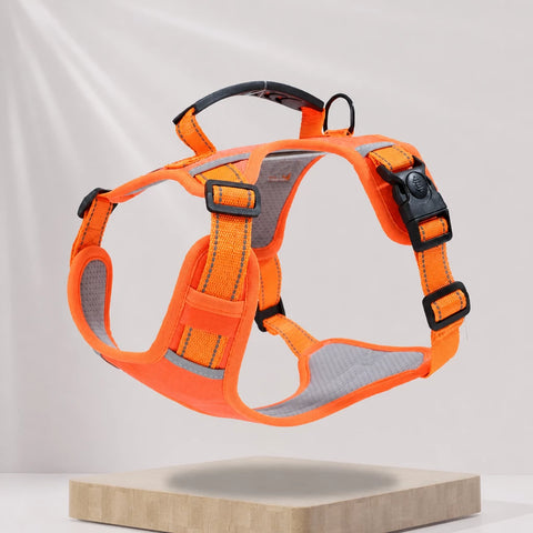 Nylon Dog Harness with Optional Leash