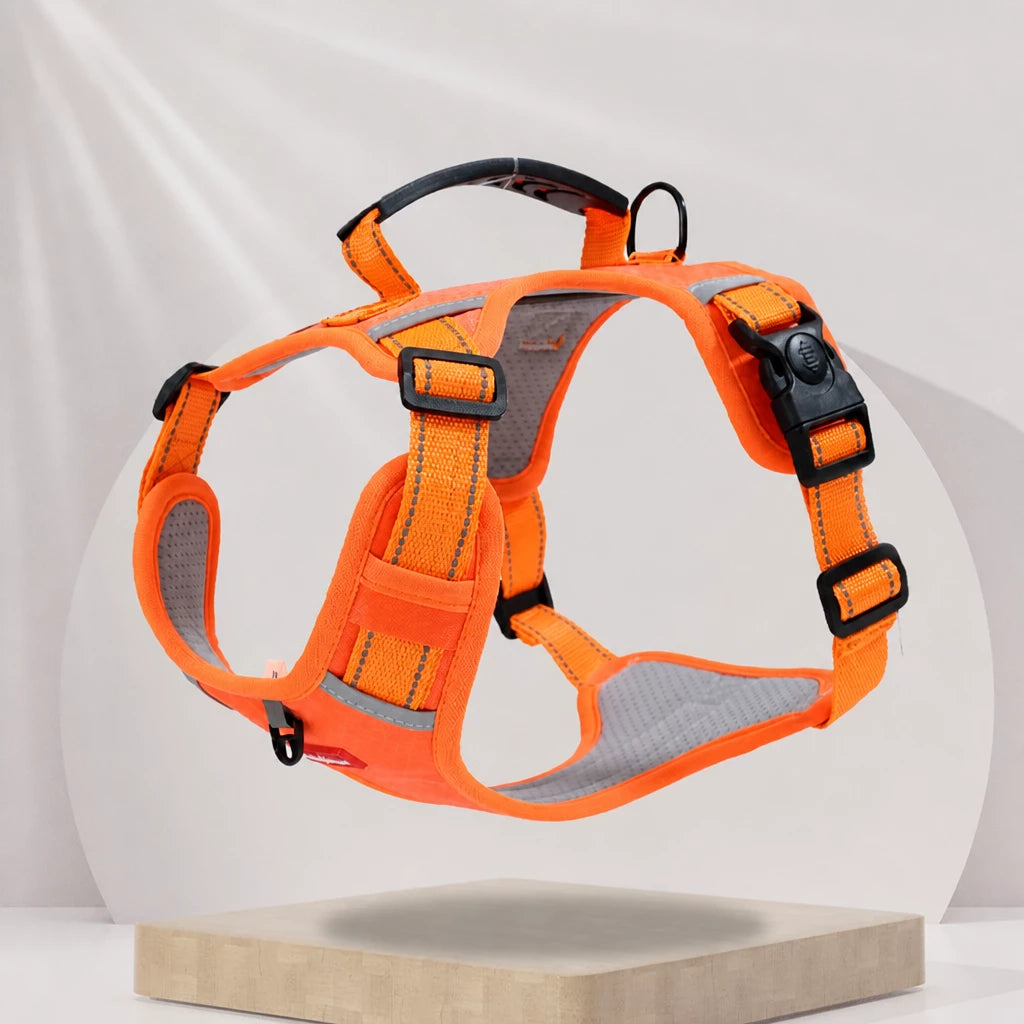 Nylon Dog Harness with Optional Leash