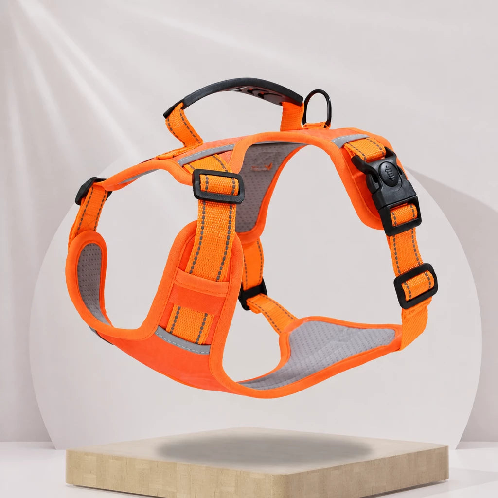 Nylon Dog Harness with Optional Leash