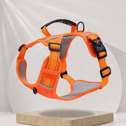 Nylon Dog Harness with Optional Leash