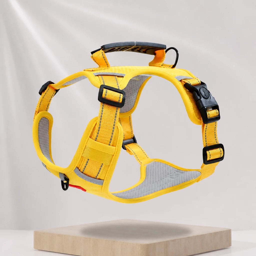 Nylon Dog Harness with Optional Leash